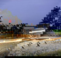 1 Day Private Phillip Island Tour VIP Charter up to 9 People - Accommodation Mount Tamborine