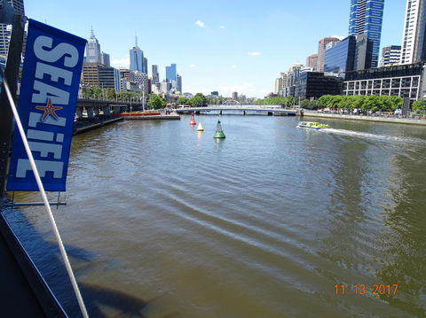 SEA LIFE Melbourne Aquarium Admission Ticket - Accommodation Mount Tamborine 7