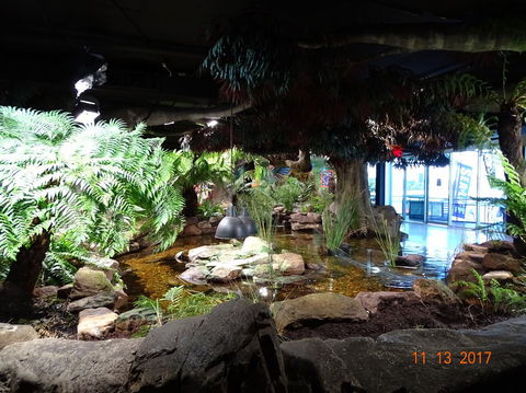 SEA LIFE Melbourne Aquarium Admission Ticket - Accommodation Mount Tamborine 2