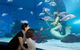 SEA LIFE Melbourne Aquarium Admission Ticket - thumb 14