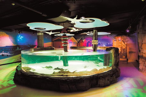 SEA LIFE Melbourne Aquarium Admission Ticket - Accommodation Mount Tamborine 27