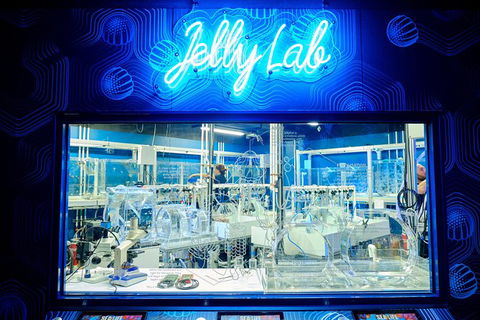 SEA LIFE Melbourne Aquarium Admission Ticket - Accommodation Mount Tamborine 24