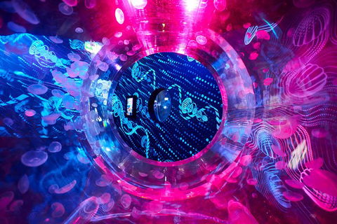 SEA LIFE Melbourne Aquarium Admission Ticket - Accommodation Mount Tamborine 26