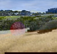 Estate to Plate Montalto Vineyard Gourmet Lunch and Wine-Tasting Tour - Accommodation Mount Tamborine