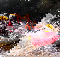 Whitewater Sports rafting on the Yarra river - Accommodation Mount Tamborine