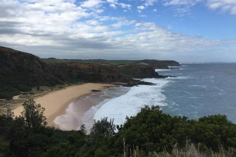 Phillip Island, George Bass Coastal Walk And Penguins Tour - Accommodation Mount Tamborine 0
