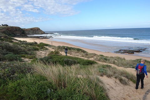 Phillip Island, George Bass Coastal Walk And Penguins Tour - Accommodation Mount Tamborine 4