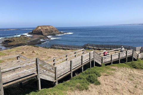 Phillip Island, George Bass Coastal Walk And Penguins Tour - Accommodation Mount Tamborine 7