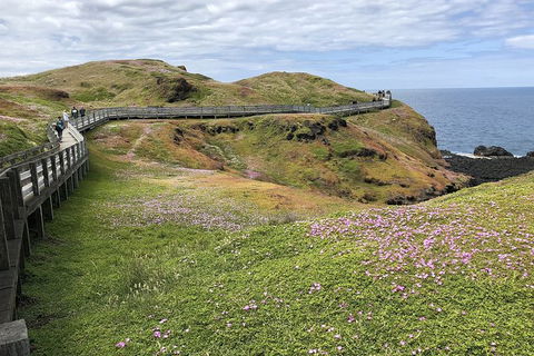 Phillip Island, George Bass Coastal Walk And Penguins Tour - Accommodation Mount Tamborine 6