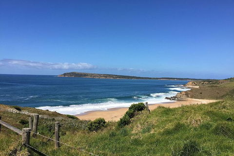 Phillip Island, George Bass Coastal Walk And Penguins Tour - Accommodation Mount Tamborine 3