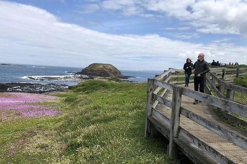 Phillip Island, George Bass Coastal Walk And Penguins Tour - Accommodation Mount Tamborine 12