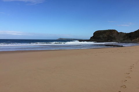 Phillip Island, George Bass Coastal Walk And Penguins Tour - Accommodation Mount Tamborine 8