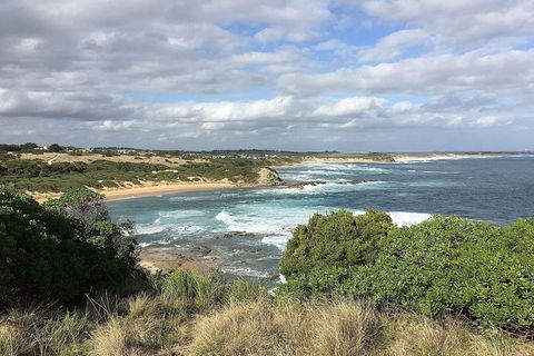 Phillip Island, George Bass Coastal Walk And Penguins Tour - Accommodation Mount Tamborine 5