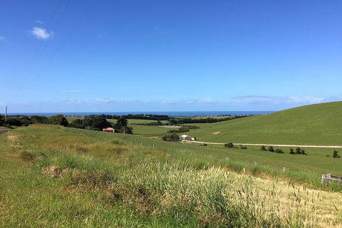Phillip Island, George Bass Coastal Walk And Penguins Tour - Accommodation Mount Tamborine 10