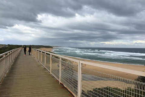 Phillip Island, George Bass Coastal Walk And Penguins Tour - Accommodation Mount Tamborine 11