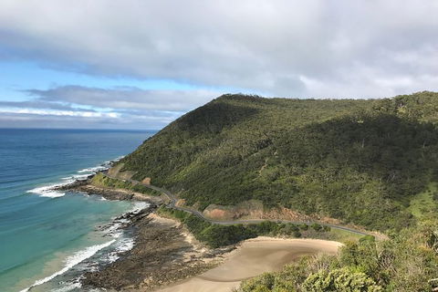 The Great Ocean Road Tour - One Day - Accommodation Mount Tamborine 3