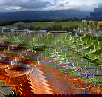 Yarra Valley Local Produce and Wine Tasting Tour - Accommodation Mount Tamborine