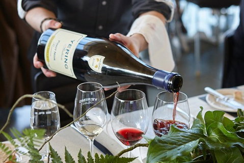 Yarra Valley Gourmet Small-Group Ecotour From Melbourne - Accommodation Mount Tamborine 5