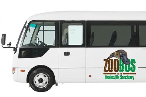 HEALESVILLE SANCTUARY ZOOBUS - MELBOURNE CITY RETURN - Accommodation Mount Tamborine 1