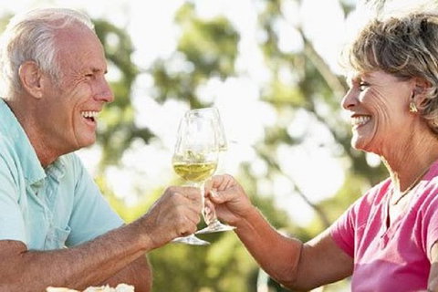 Phillip Island Wine Experience Tour - Accommodation Mount Tamborine 1