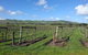 Phillip Island Wine Experience Tour - thumb 4