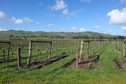 Phillip Island Wine Experience Tour - Accommodation Mount Tamborine 4
