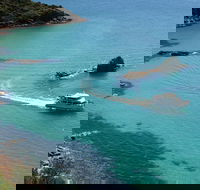 Cape Woolamai Sightseeing Cruise from San Remo - Accommodation Mount Tamborine