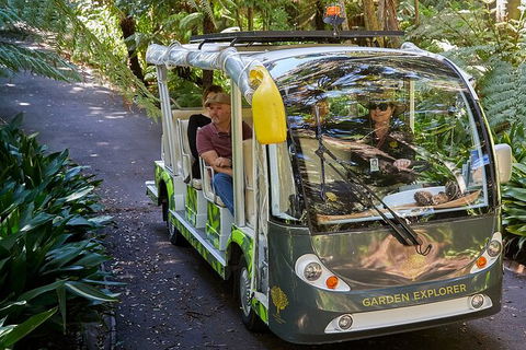 The Explorer - Melbourne Gardens - Accommodation Mount Tamborine 2