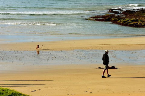 Ultimate Reverse Direction - 12 Apostles, Great Ocean Road - Small Group Tour - Accommodation Mount Tamborine 6