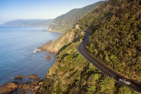 Ultimate Reverse Direction - 12 Apostles, Great Ocean Road - Small Group Tour - Accommodation Mount Tamborine 10