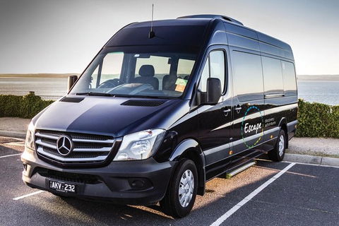 Ultimate Reverse Direction - 12 Apostles, Great Ocean Road - Small Group Tour - Accommodation Mount Tamborine 4