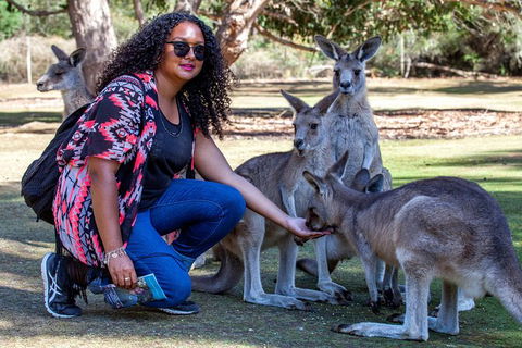 3-Day Tasmania Combo: Launceston To Hobart Active Tour Including Cradle Mountain, Freycinet National Park And Port Arthur - Accommodation Mount Tamborine 12