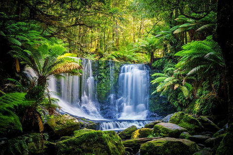 Day Tour In Mt. Field, Mt. Wellington, Bonorong Wildlife Sanctuary And Richmond - Accommodation Mount Tamborine 0