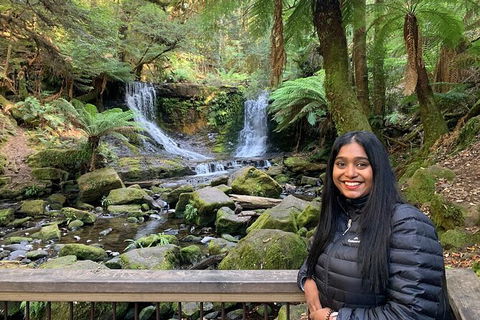 Day Tour In Mt. Field, Mt. Wellington, Bonorong Wildlife Sanctuary And Richmond - Accommodation Mount Tamborine 4