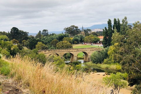 Day Tour In Mt. Field, Mt. Wellington, Bonorong Wildlife Sanctuary And Richmond - Accommodation Mount Tamborine 6