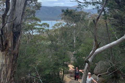 Wineglass Bay And Freycinet National Park Active Day Trip From Hobart - Accommodation Mount Tamborine 14