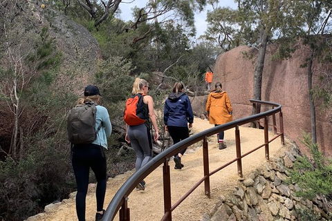 Wineglass Bay And Freycinet National Park Active Day Trip From Hobart - Accommodation Mount Tamborine 25