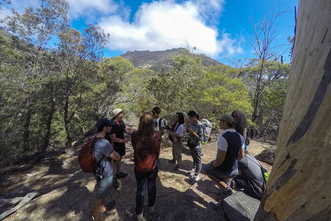 Wineglass Bay And Freycinet National Park Active Day Trip From Hobart - Accommodation Mount Tamborine 9