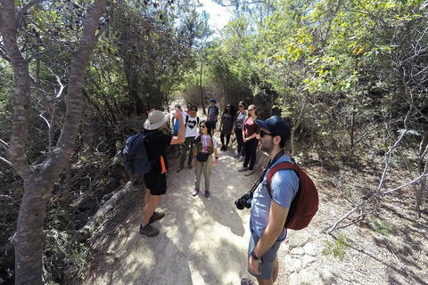 Wineglass Bay And Freycinet National Park Active Day Trip From Hobart - Accommodation Mount Tamborine 19