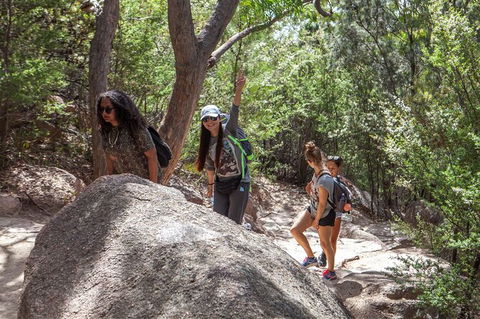 Wineglass Bay And Freycinet National Park Active Day Trip From Hobart - Accommodation Mount Tamborine 22