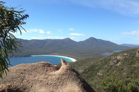 Wineglass Bay And Freycinet National Park Active Day Trip From Hobart - Accommodation Mount Tamborine 33