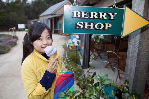 Wineglass Bay And Freycinet National Park Active Day Trip From Hobart - Accommodation Mount Tamborine 11