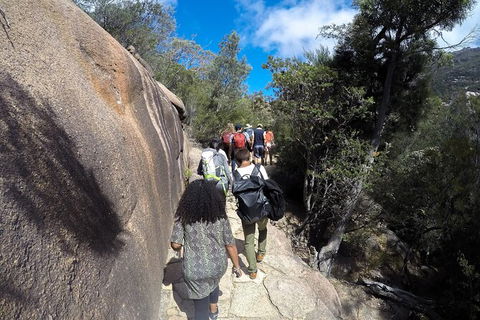 Wineglass Bay And Freycinet National Park Active Day Trip From Hobart - Accommodation Mount Tamborine 21