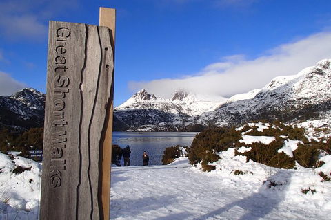 Cradle Mountain Active Day Trip From Launceston - Accommodation Mount Tamborine 12