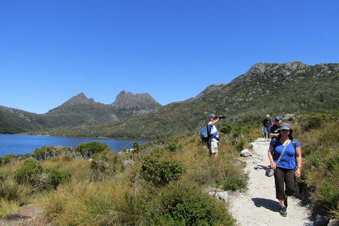 Cradle Mountain Active Day Trip From Launceston - Accommodation Mount Tamborine 9
