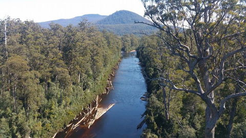 Small-group DayTour From Hobart: Hastings Caves, Huon Valley And Tahune AirWalk - Accommodation Mount Tamborine 3