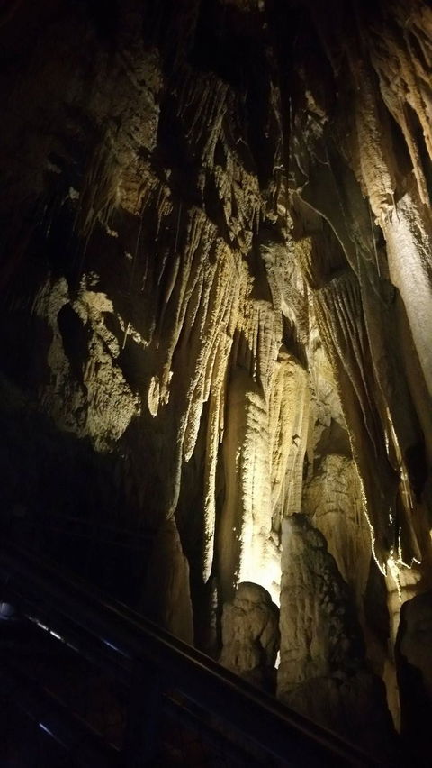 Small-group DayTour From Hobart: Hastings Caves, Huon Valley And Tahune AirWalk - Accommodation Mount Tamborine 5