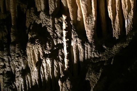Small-group DayTour From Hobart: Hastings Caves, Huon Valley And Tahune AirWalk - Accommodation Mount Tamborine 1