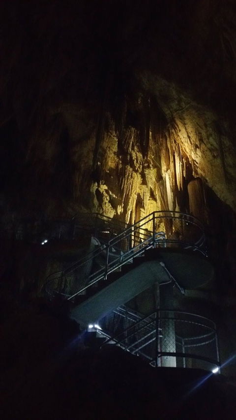 Small-group DayTour From Hobart: Hastings Caves, Huon Valley And Tahune AirWalk - Accommodation Mount Tamborine 4