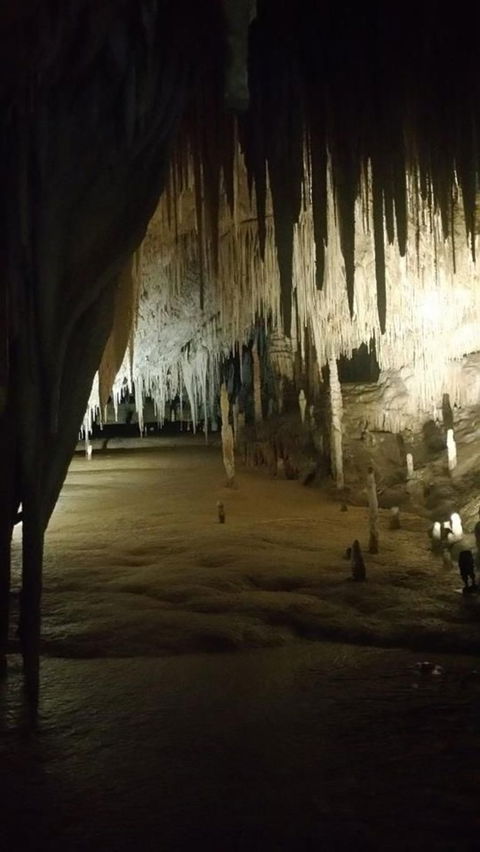 Small-group DayTour From Hobart: Hastings Caves, Huon Valley And Tahune AirWalk - Accommodation Mount Tamborine 8